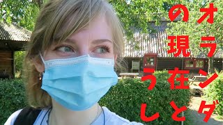 オランダのコロナは日本と違います…。