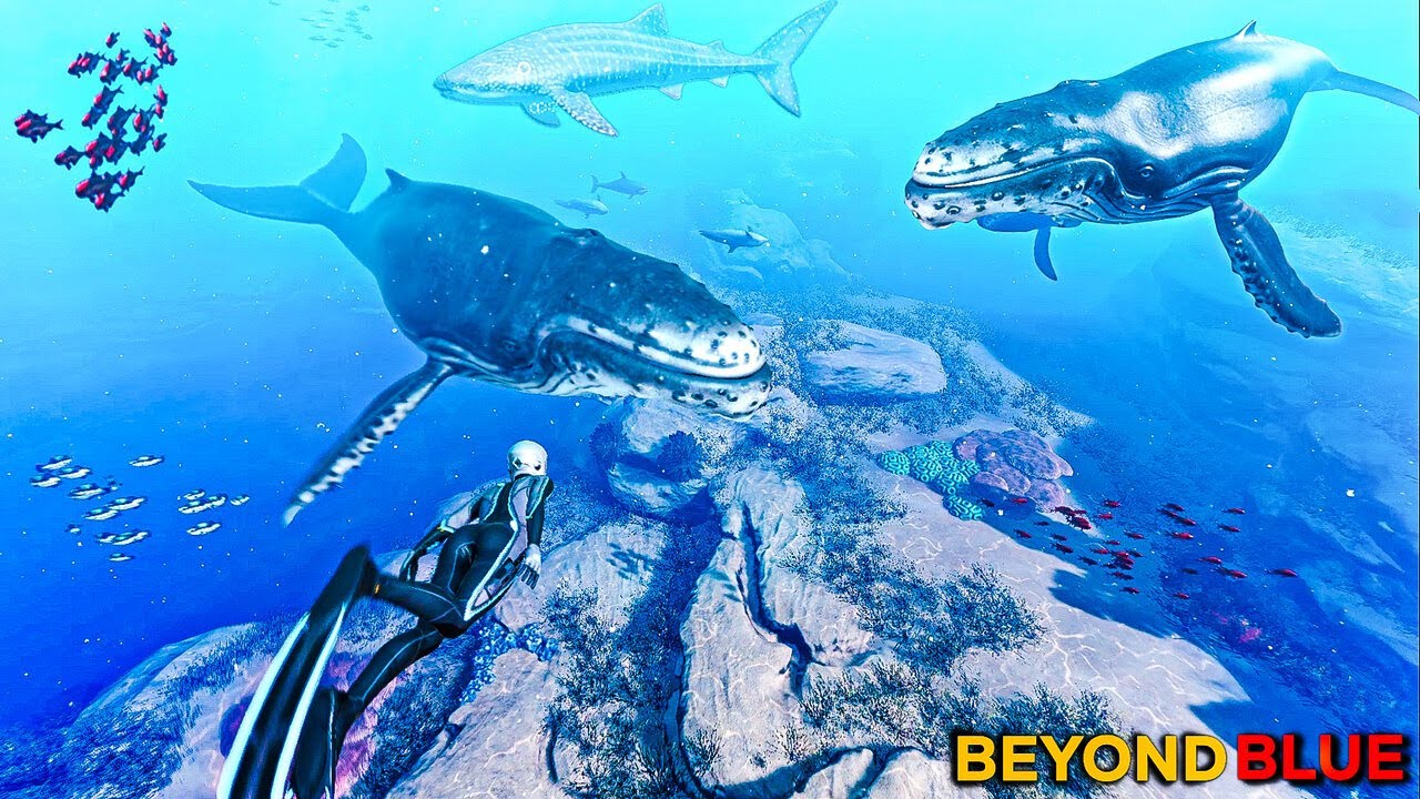 Beyond Blue: Exploring the Ocean After the Storm Marine Life Secrets & Adventure