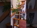 This home has no rules. #ルームツアー #インテリア #homedecor