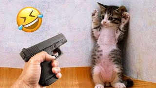 Funny animals 2024  Funniest Cats and Dogs Video  Part 2