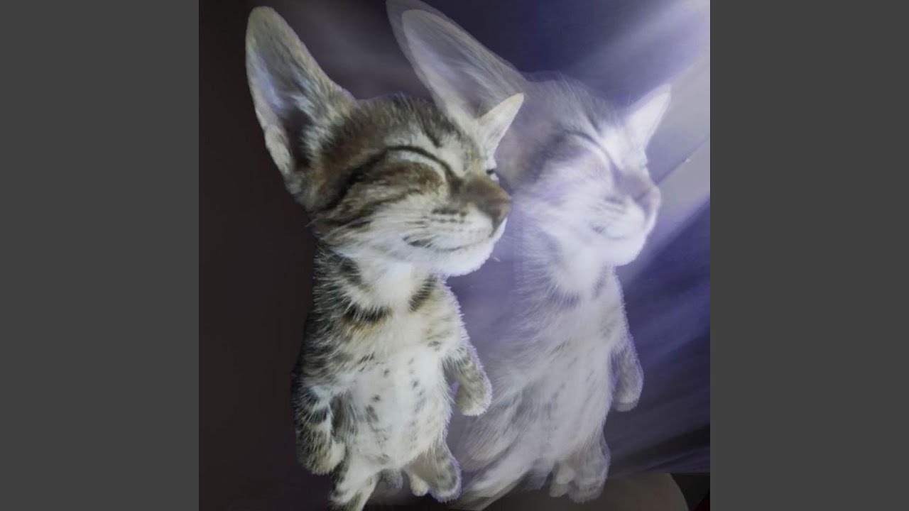 watch this (feat. faller)