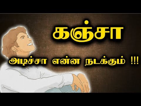 கஞ்சா குடிப்பதால் உடலில் ஏற்படும் பாதிப்ப | ganja medical issues in tamil | Cannabis sativa in tamil