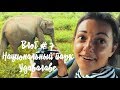 Национальный парк Удавалаве: Сафари на Шри-Ланке, Шри-Ланка 2018. Влог #7. ЕХАТЬ ИЛИ НЕ ЕХАТЬ?