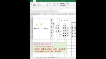 阿伟Excel教学 Excel文字变竖排#Excel #office #表格办公 #快手课堂 #办公软件