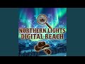 Northern Lights Digital Reach