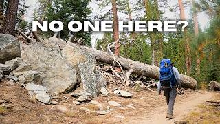 We Explored This High Sierra Meadow — And Found Something Strange