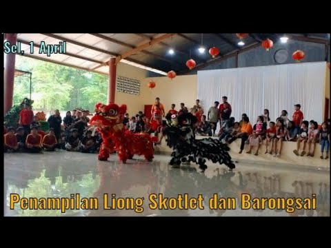 Penampilan Liong Skotlet dan Barongsai Boen Tek Bio di Vihara Cheng Bu Bio | STNHB-BTB
