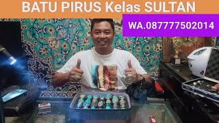 Batu pirus SULTAN ( JUARA ) dagangan bp.Sofan.WA.( 087777502014 )