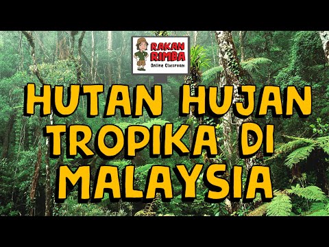 Hutan Hujan Tropika di Malaysia