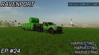 RAVENPORT||FS22||EP#24||HARVESTING FOR THE DAY!!