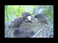 Decorah Dad Makes A Duel Delivery Wow&amp;Mom Brings In A Fish,5/25/14