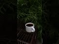 Morning coffee routine tips - Variant A