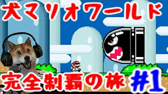 犬マリオワールド Youtube