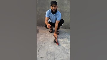 2 ta rc cobra snake 2 Unboxing