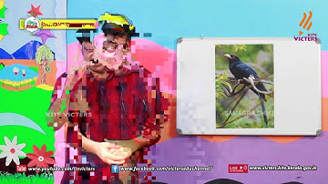 KITE VICTERS STD 07 English Class 06 (First Bell-ഫസ്റ്റ് ബെല്‍)