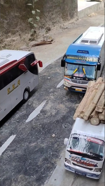 Pelan pelan pak sopir bus sugeng rahayu #sugengrahayu #bisbalap #sugengrahayucepat #telolet #basuri