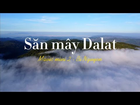 Săn mây tại Đà Lạt | Dji mini 2 cinematic  #dalat #mini2 #sanmay