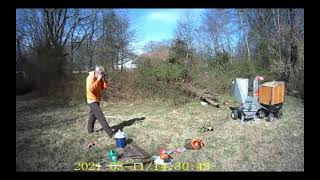 Job 165 Eden NC Tree Felling Bush Trimming Brush Hogging Wood Chipping