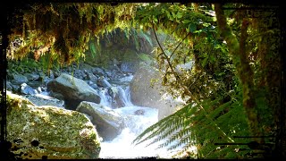 NOBODY does this hike and NOW I know why (Grave-Talbot Route, Fiordland NP, New Zealand)