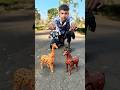 Rc horse and griffe unboxing video 😱😱 #shortsfeed #short #unboxing