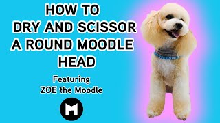 How to dry and scissor a round Moodle head