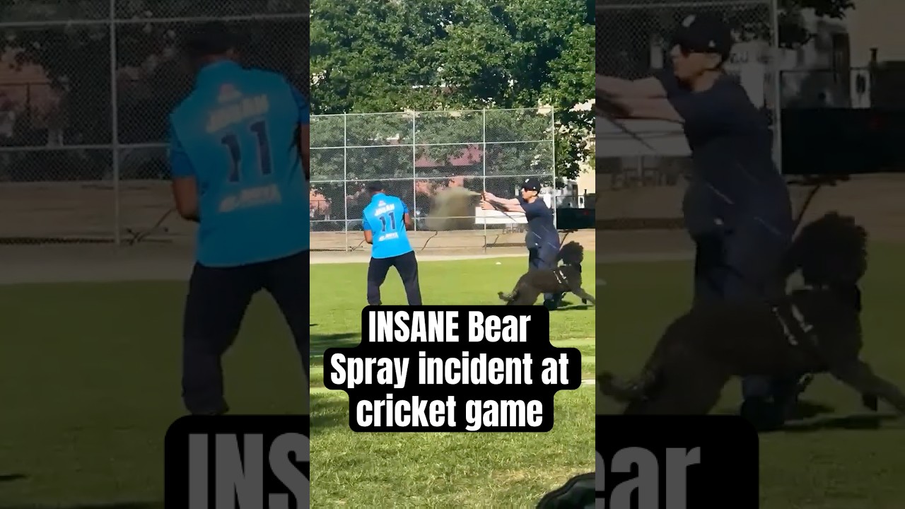 INSANE Bear Spray incident at cricket game