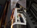 #real#flexprinting#flowers#tamilsong#postar#trendingshorts#vlogsvideo