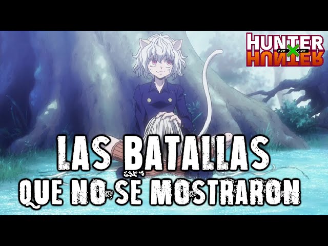 HUNTER X HUNTER | LAS BATALLAS QUE NO SE MOSTRARON class=