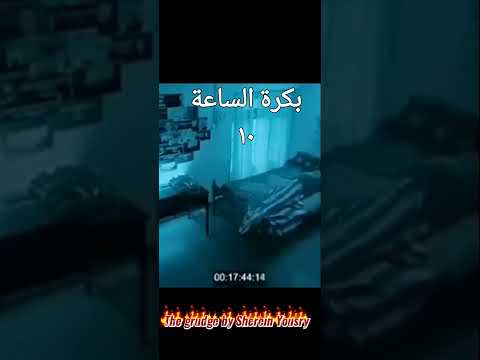 مش هتناموا بكرة الساعة ٩ بالليل القرين