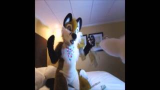 furries vines