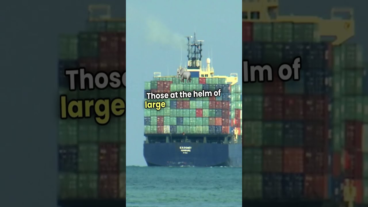 How Much Do Ship Captains Earn YouTube How Much Do Ship Captains Earn YouTube