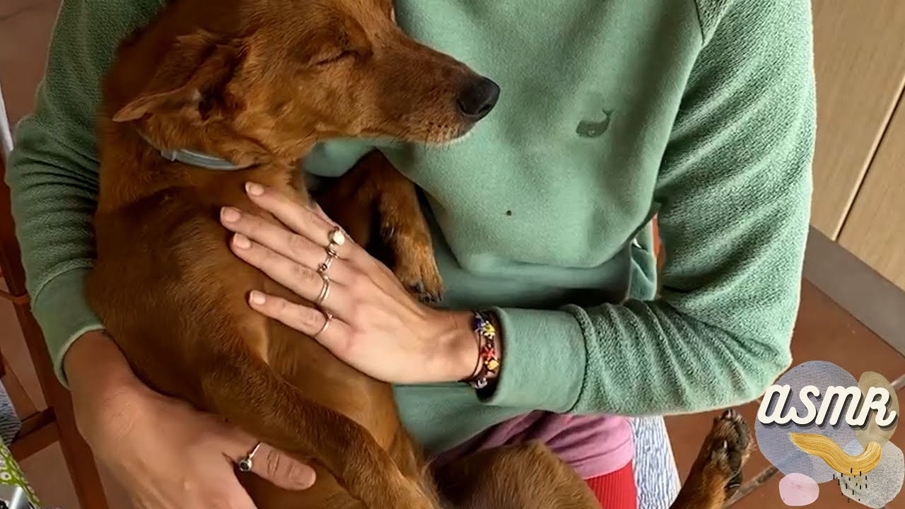 ASMR│🍃 Без разговоров│SOUNDS для концентрации, учебы или релаксации │NATURE