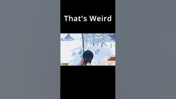 Rust A Tree Glitch