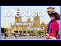 【4K】WALK Mexico City 4k video ZOCALO Day of the Dead TRAVEL