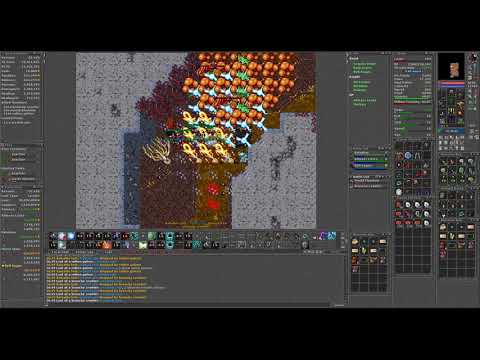 Tibia Rotten Wasteland 4x Voc Hunt MS Perspective - YouTube