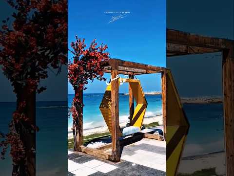 يتضرب بيك المثل ساموزين حالات واتس تصميمي تصويري تصميم فيديوهات اغاني اغانى رومانسي