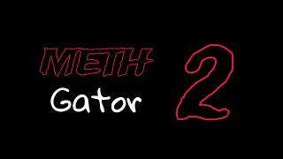 Meth Gator 2