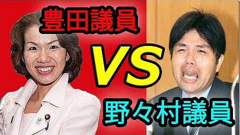 野々村議員スーパーマリオ 野々村議員スーパーマリオ