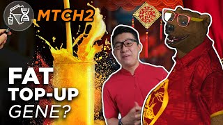 Why You Are Slow To Lose Weight Dna Weight Loss Genetics - Fat Top-Up Gene Mtch2