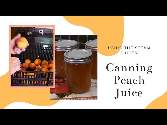 Canning Peach Juice - Using a Steam Juicer PART 1 