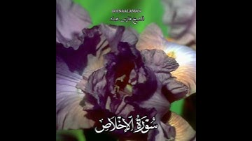 سورة الإخلاص | الشيخ فارس عباد،استغفر الله العظيم واتوب اليه، تلاوه خاشعه