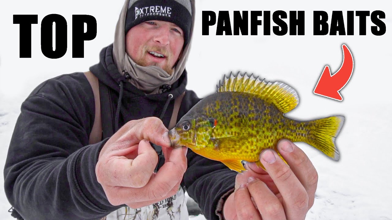 Ice Fishing Lures for PanFish I Michigan PanFishing 2024 