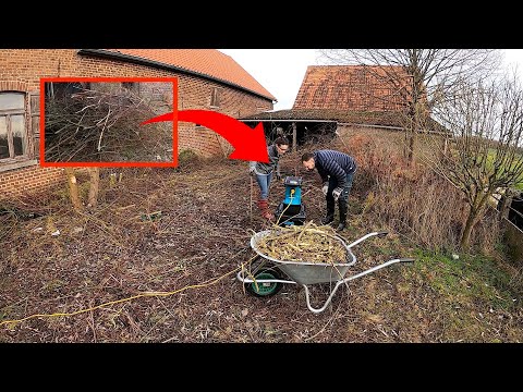 How to feed