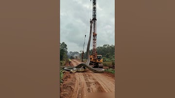 Caught on Camera:  Moving a Giant Snake with a Crane! #shorts #shortvideo #monster #crane #snake