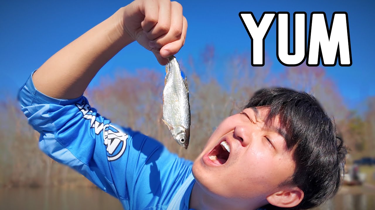 live bait fishing!