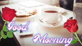 Good Morning Shayari | Good Morning Status screenshot 5