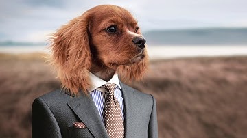 Power Mapping Workshop