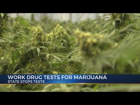 Jobs With No Drug Test Near Me