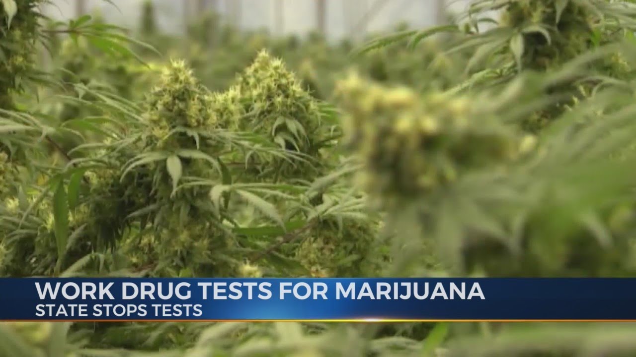 NYS ends work drug tests for marijuana