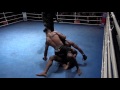 Island Fights 41: Davis vs Williams